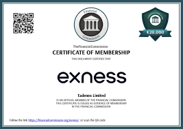 Comprehensive Guide to Exness ECN Broker Trading with Confidence