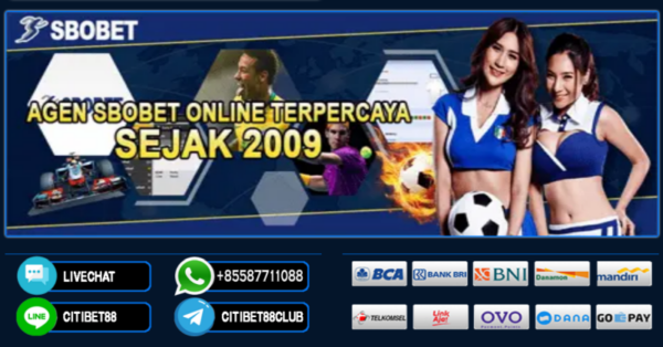 Panduan Agen Taruhan Terpercaya Praktis untuk Pemula